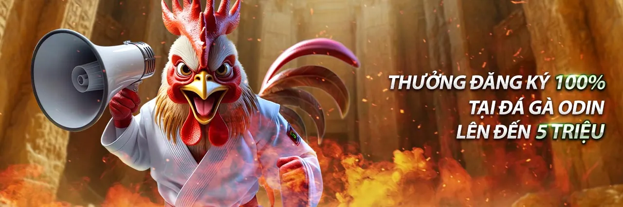 Sân vận động bóng đá với không khí sôi động, thể hiện cá cược thể thao tại 118bet link vào